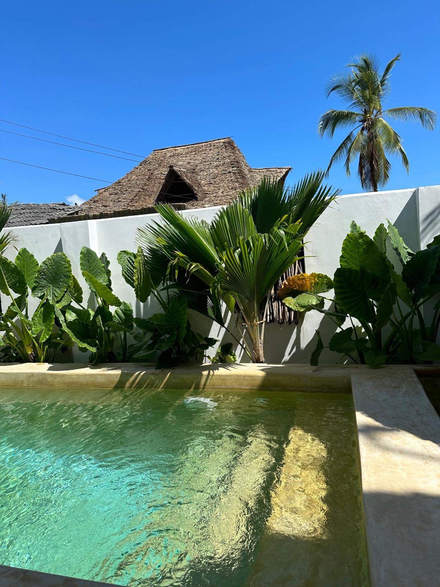 Mlango Paje Villa Boutique Exterior photo