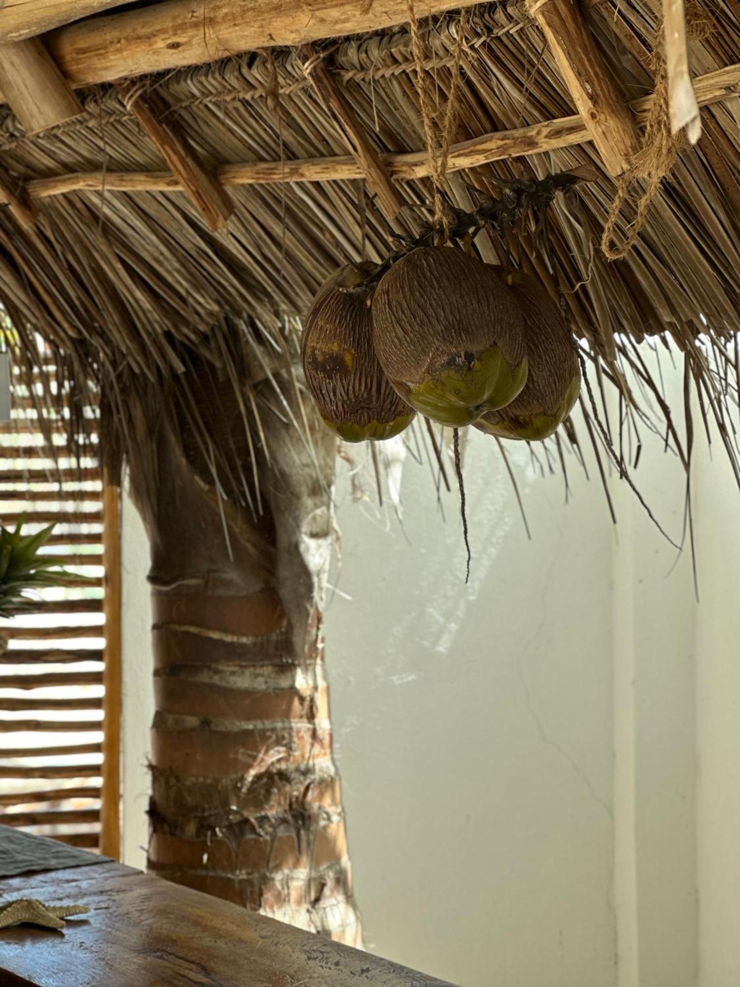 Mlango Paje Villa Boutique Exterior photo